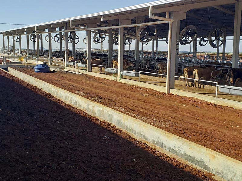 AS Projetos e Pré Moldados